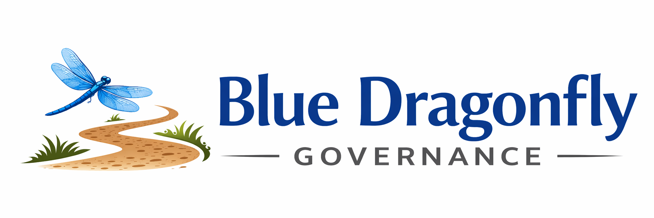 Blue Dragonfly Governance
